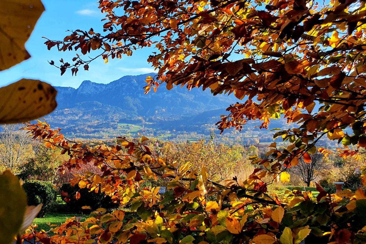 Les Afforets La Roche-sur-Foron Exterior photo